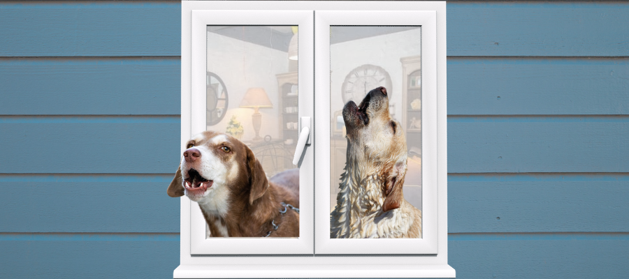 How to Stop My Dog From Barking When I Leave | Lolahemp