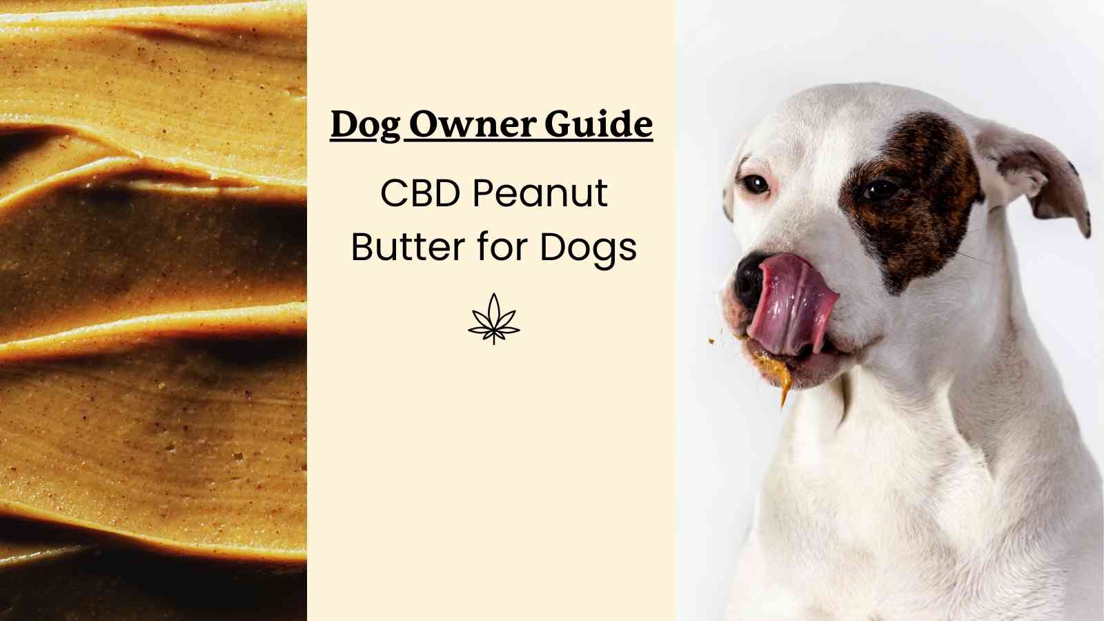 How much peanut butter can a dog have best sale