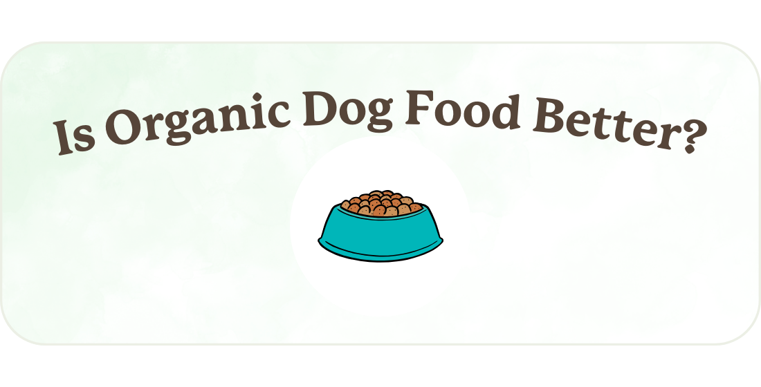Is Organic Dog Food Better?