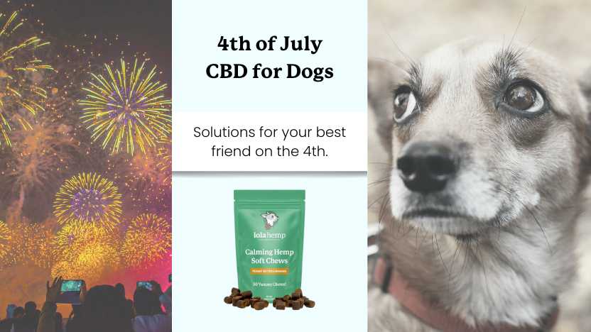 This image shows fireworks blasting, a scared dog, and a bag of lolahemp calming chews with text "4th of July CBD for Dogs"