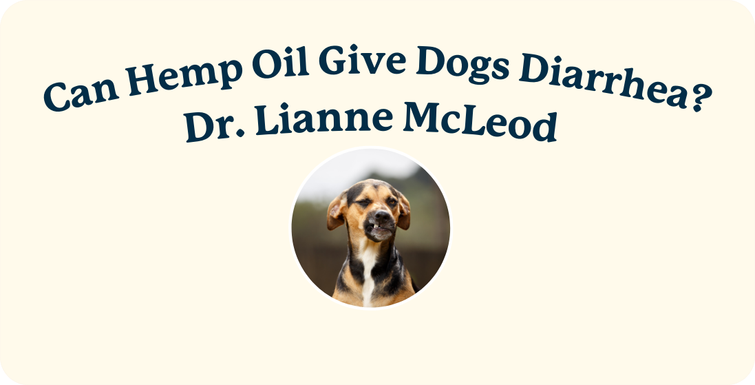 Can CBD Oil Cause Diarrhea in Dogs