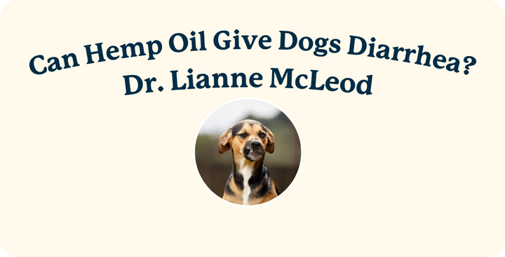Can CBD Oil Cause Diarrhea in Dogs