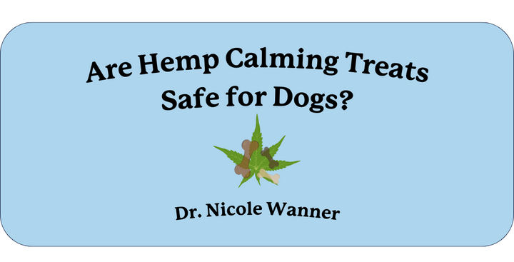 Are Hemp Calming Chews Safe for Dogs?