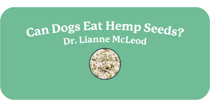 Are Hemp Seeds Good for Dogs?