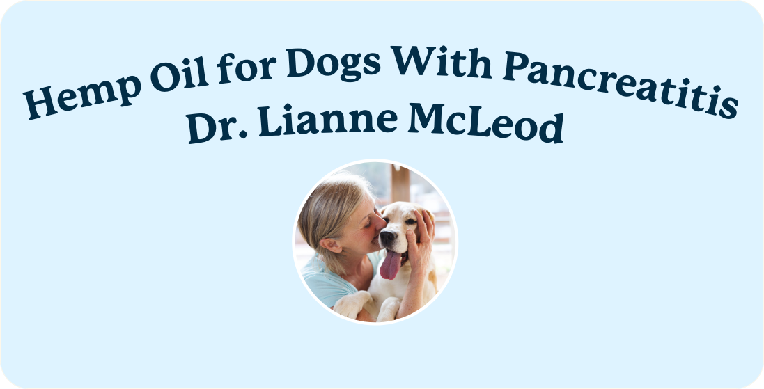 CBD for Pancreatitis in Dogs