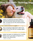 Testimonials listed about positive results from use of our hip & joint hemp oil for dogs.