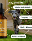 iola hemp Mobility Hemp Oil for Dogs bottle with a dog running on grass, labeled key benefits.