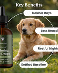 the key benefits of lolahemp calming drops - calmer days, less reactive, restful nights, settled baseline