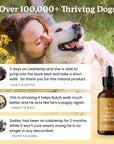 Woman kissing a dog with text and bottle of Hemp Oil for Dogs on a yellow background