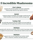 This image lists the ingredients in our immunity mushroom chews (lion's mane, reishi, turkey tail, shiitake, maitake)