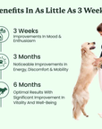 Woman petting a dog with text about product benefits on a white background
