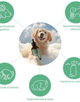 Benefits of Lolahemp Calming Oil for Dogs Diagram