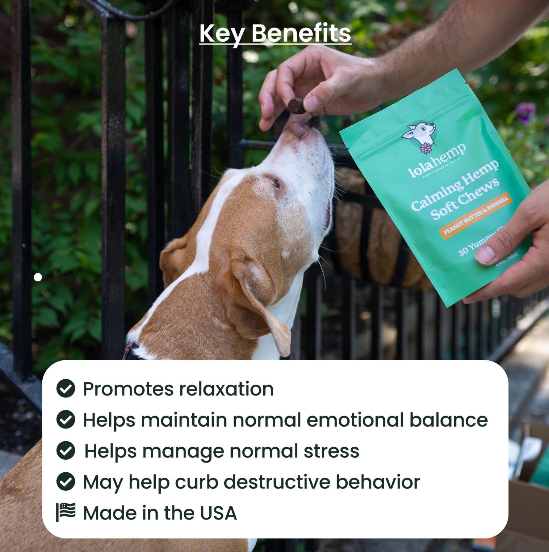 This image lists Lolahemp calming chews' key benefits