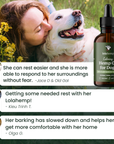 Woman kissing a dog with a bottle of Lolahemp Hemp Oil for Dogs in the background + real calming testimonials from Lolahemp customers.