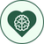 CBD oil can support cognitive benefits in dogs