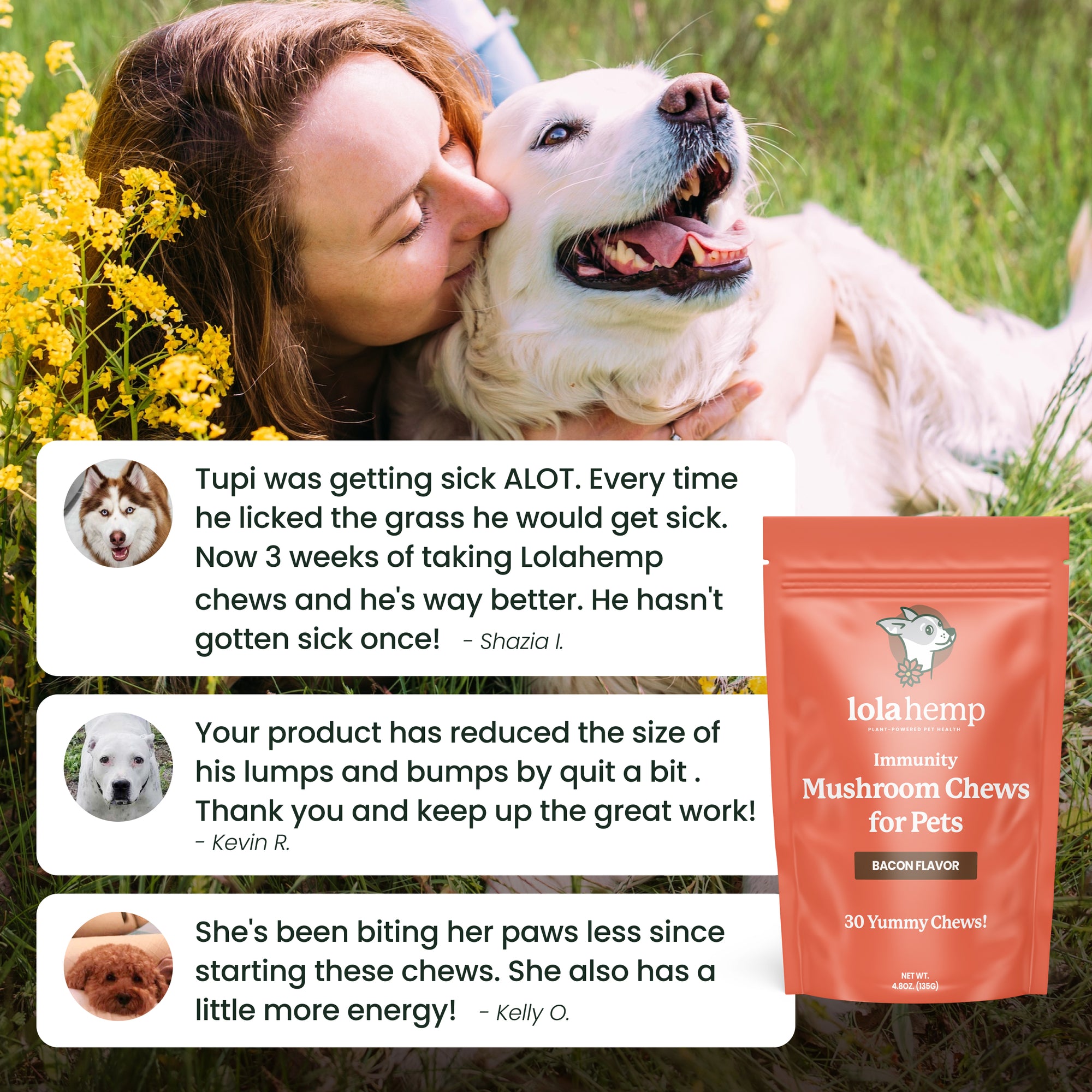This image shows a happy dog and owner as well as three verified reviews from customers about our immunity mushroom chews.
