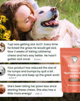 This image shows a happy dog and owner as well as three verified reviews from customers about our immunity mushroom chews.