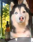 Dog in front of a bottle of Lolahemp Calming CBD Oil