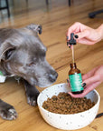 Dog waiting to receive is Lolahemp CBD oil