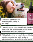 Extra Strength CBD Oil for Dogs | Full Spectrum Hemp & CBG
