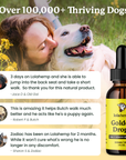 Lolahemp Golden Drops bottle with customer testimonials and a happy dog outdoors.