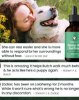 Hemp Drops for Pets