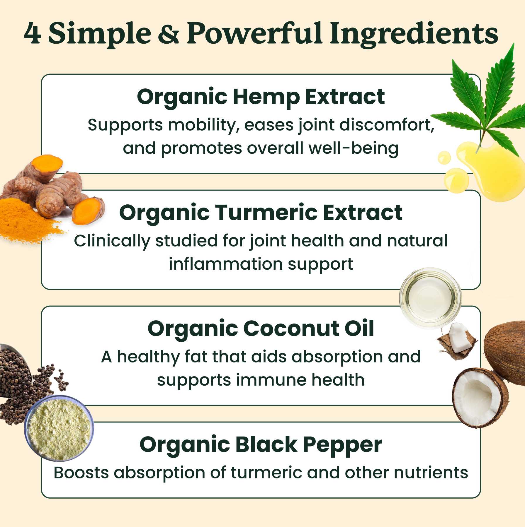 This image lists the ingredients in this oil - organic hemp extract, organic turmeric extract, organic coconut oil, organic black pepper.
