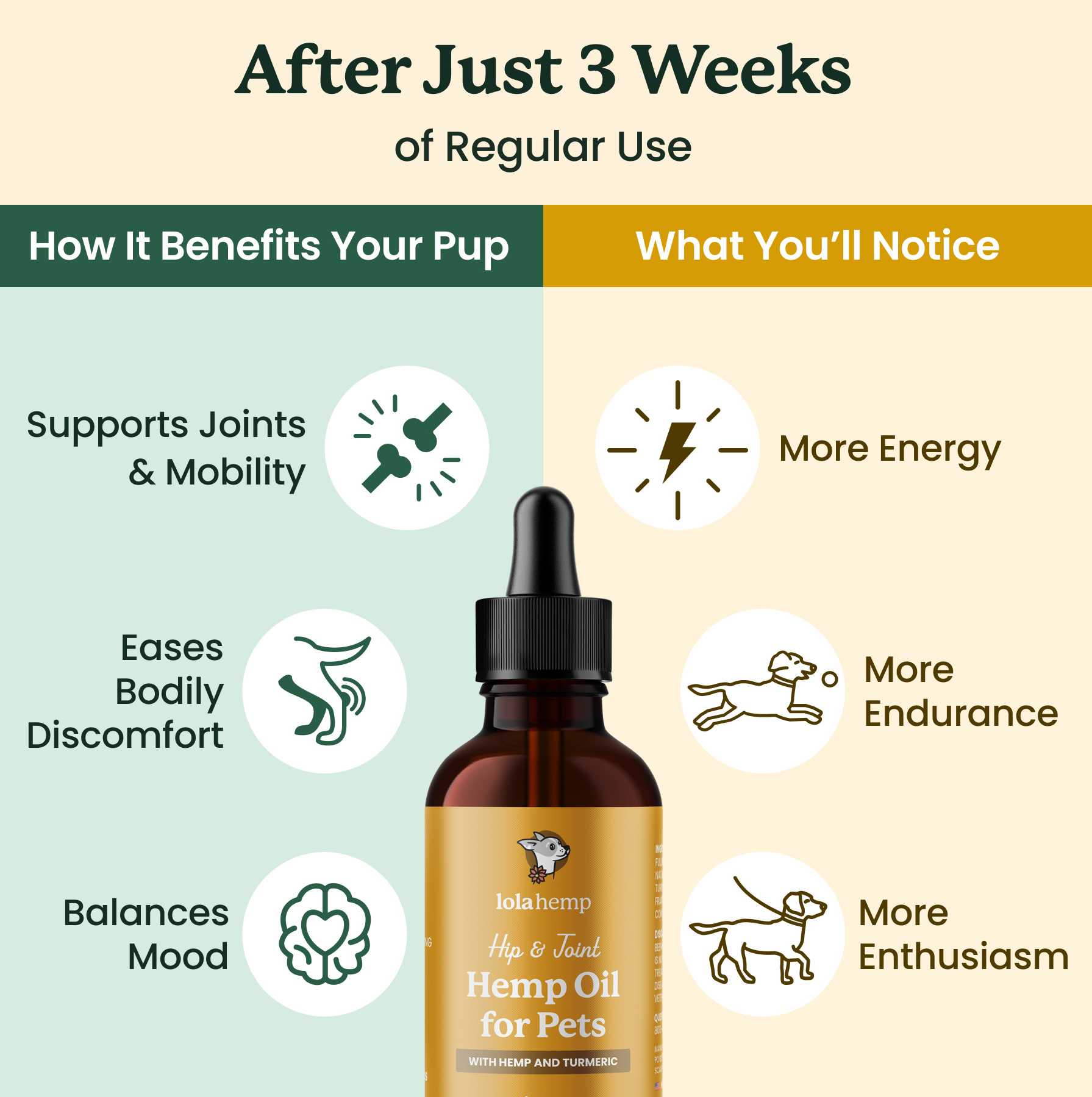 This image displays the time-related benefits of this product when used regularly in dogs.