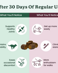 This image describes the benefits of Lolahemp hip & joint chews after 30 days of regular use.