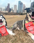This image shows two dogs sitting in the park with bags of Lolahemp immunity mushroom chews.