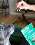 This image shows a dog excited to eat a calming chew.