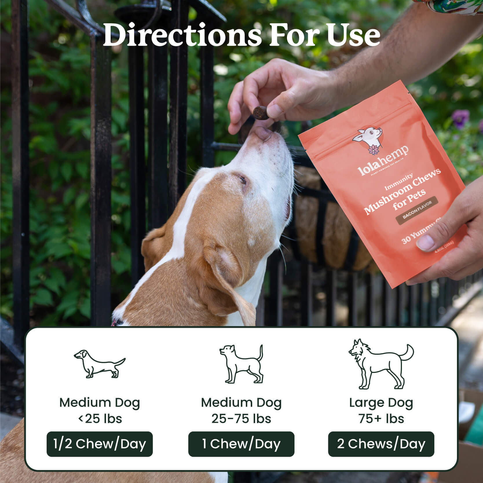 This image shows the directions for use of this product.