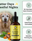 Lolahemp Golden Drops