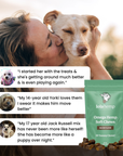 This image shows three real reviews of Lolahemp's Omega Chews.