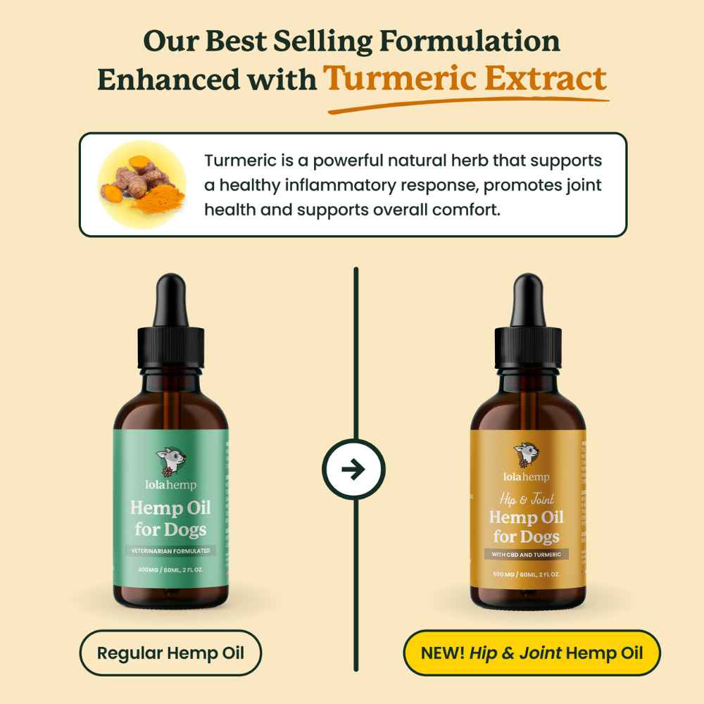 This diagram lists differences between Lolahemp's Classic CBD oil and the new Hip & Joint OIl for Dogs.