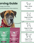 Lolahemp Hip & Joint Chews