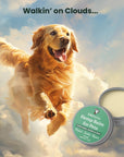 This image shows an animated dog walking on a cloud with the words "walkin on clouds" listed at the top.