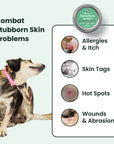 This image lists the use cases of Lolahemp Balm