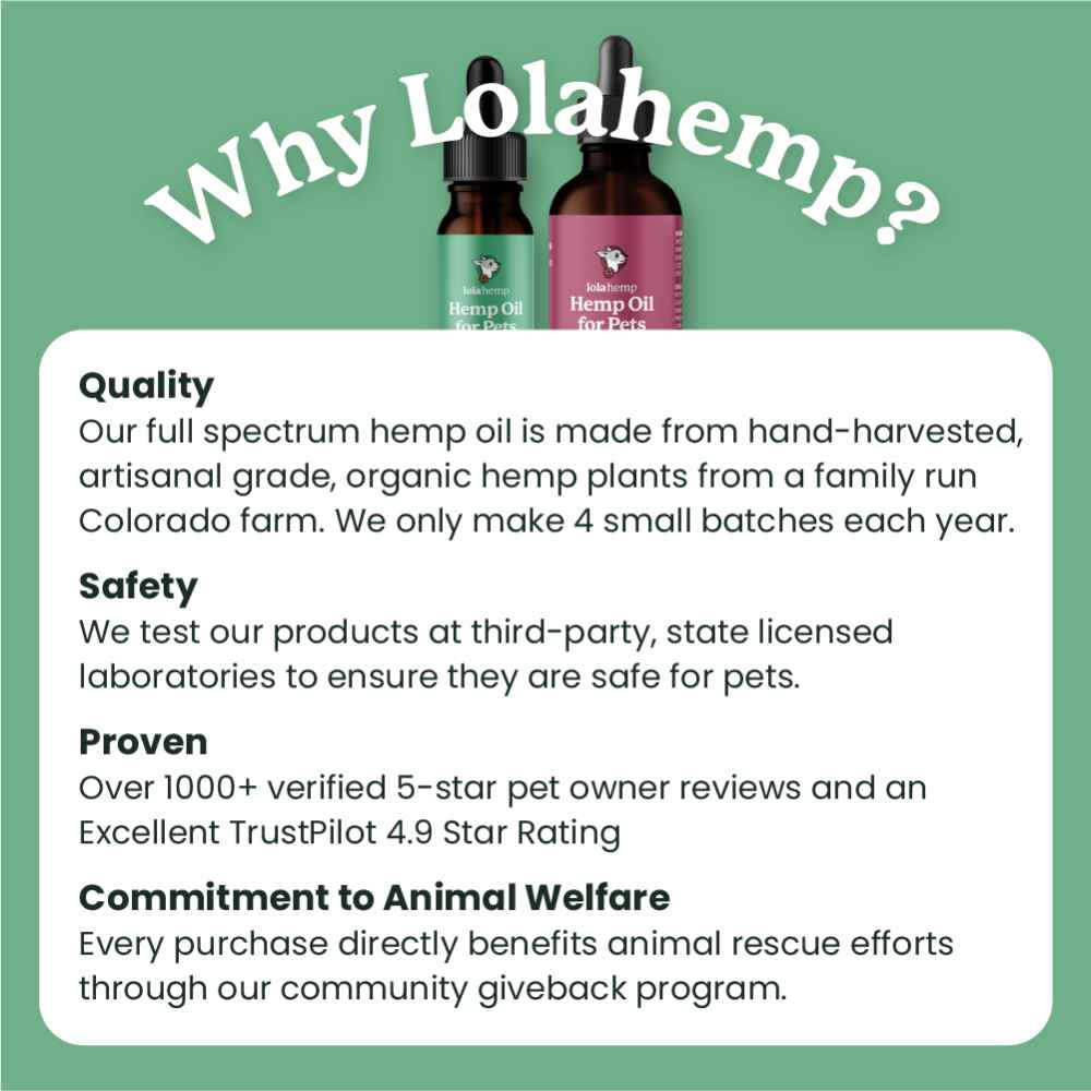 Quality, safety, and proven success are among the many reasons you should choose Lolahemp CBD for pets.
