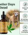 a happy senior dog next to lolahemp mobility oil with badges assuring the oil's quality