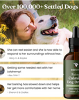 Lolahemp Calming Drops (Starter Offer)