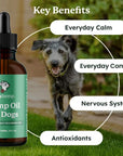 Lolahemp CBD oil for dogs with its four key benefits: everyday calm, everyday comfort, nervous system and antioxidants