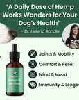 Hemp oil for dogs with a bottle and text about its benefits on a green background.