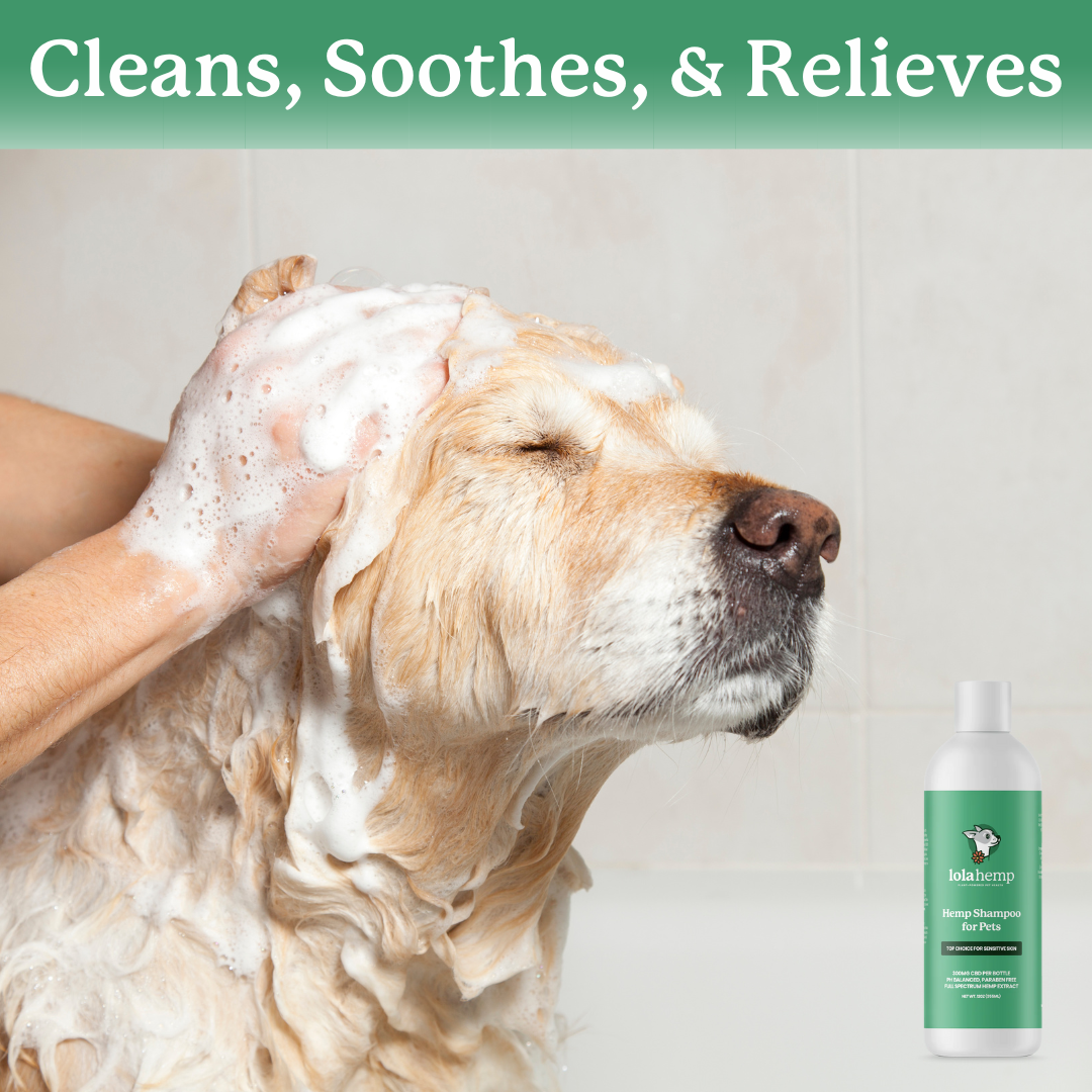 Dog shop hemp shampoo