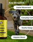 Lolahemp Golden Drops