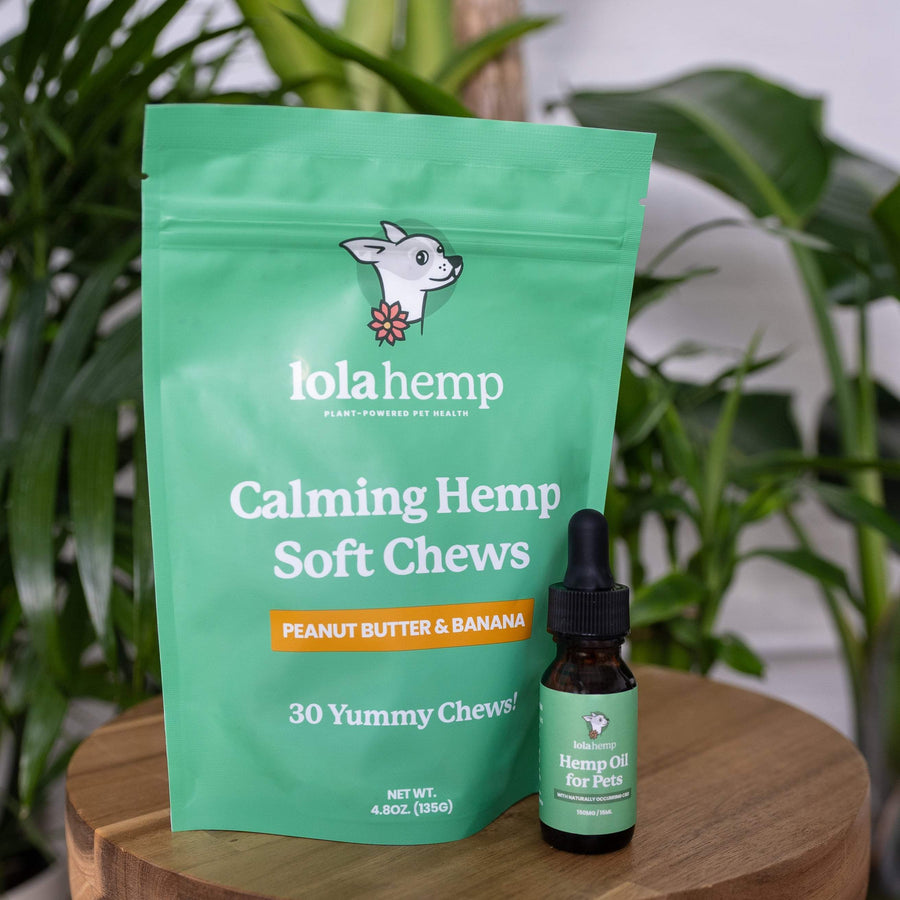 Green colored bag of regular strength lolahemp calming hemp soft chews with brown 150mg regular strength lolahemp oil bottle with green label on wooden table with plants in the background