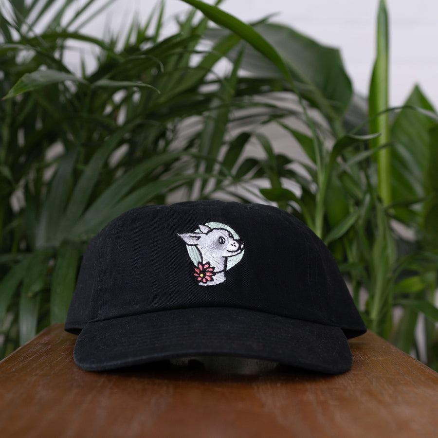 front of black lolahemp hat on wooden table with plants in the background