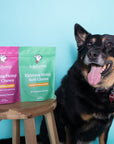 This image shows a dog sitting next to a bag of regular strength calming chews as well as extra strength calming chews.