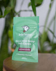 Front of mini green colored bag of regular strength lolahemp hip & joint hemp soft chews on wooden table with plants in the background