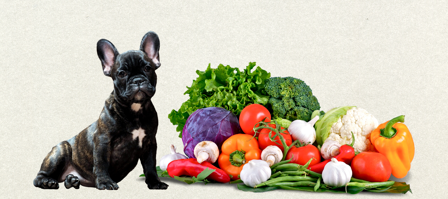 French bulldog sitting next to stack of random vegetables